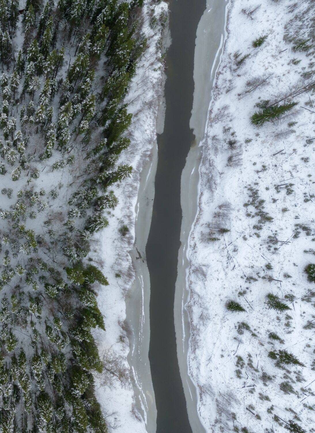 , Денис Гончаренко