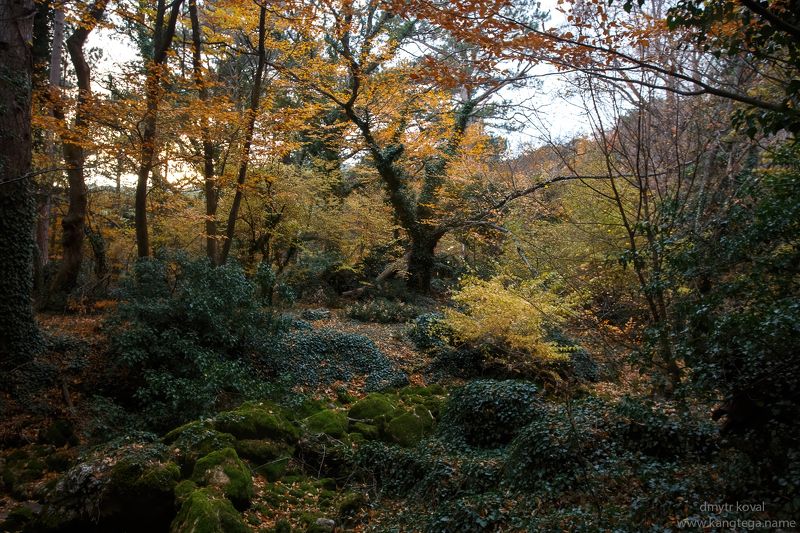 дмитр коваль, крымские горы вне треков У потока мшистых камней...photo preview