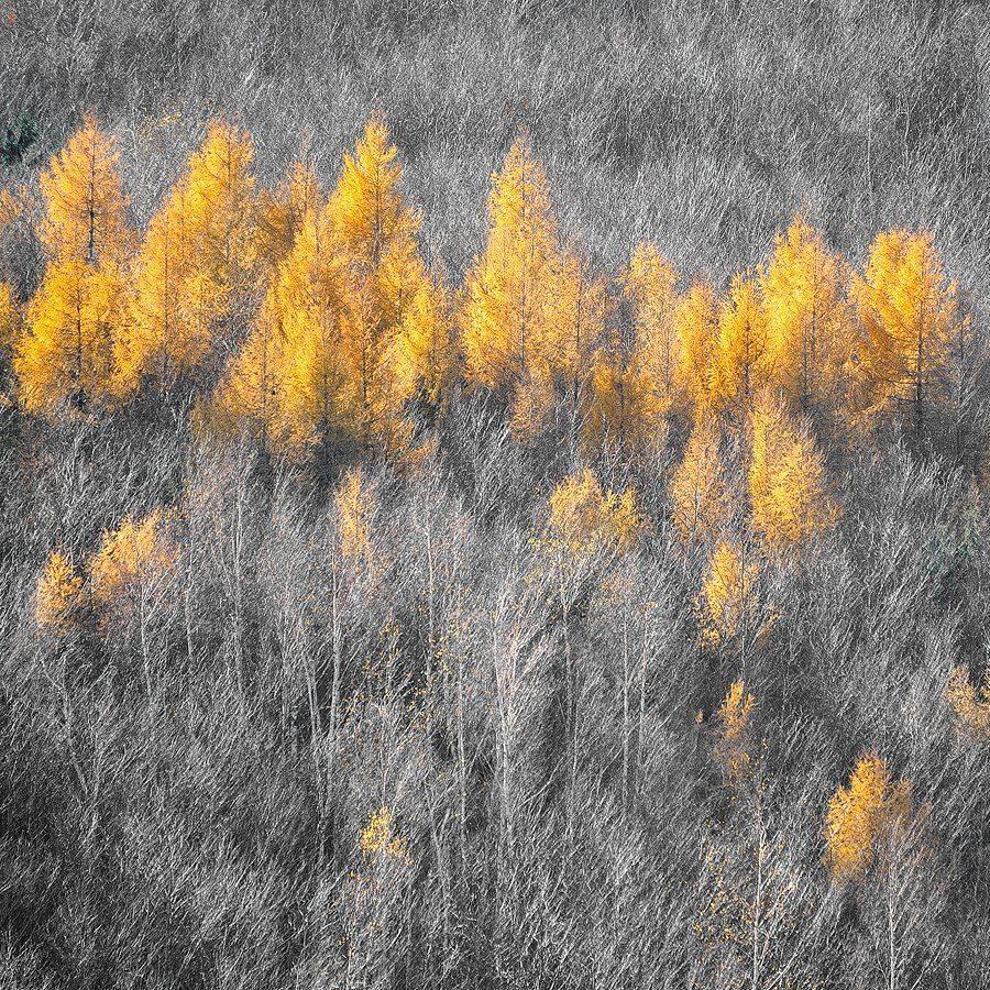 Yellow. Автор: Bogdan Panait , Bogdan Panait