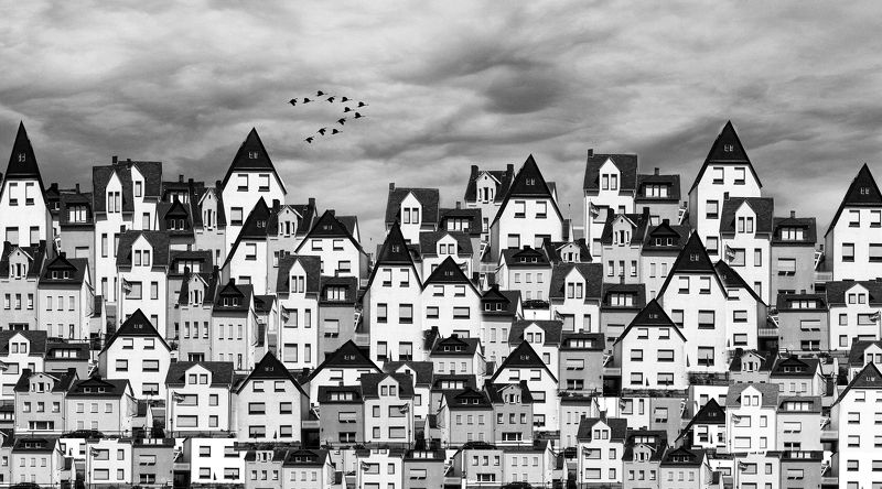 Гуси-лебедиphoto preview