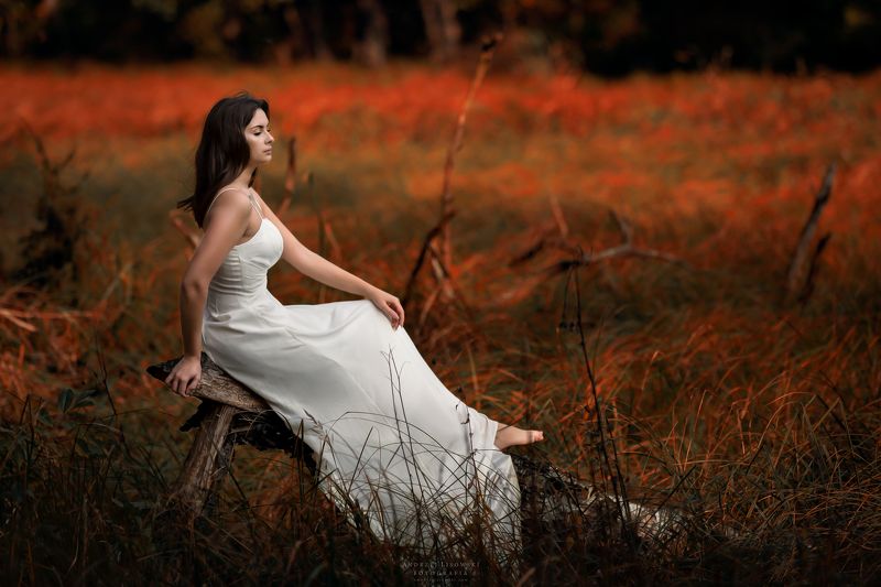 Carrot fieldsphoto preview