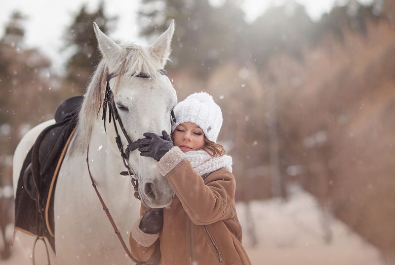 лошадь, девочка, зима, снег, любовь, дружба Доверие photo preview