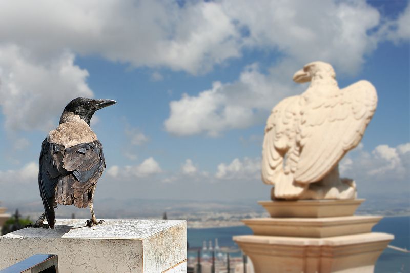 Я памятник себе...photo preview