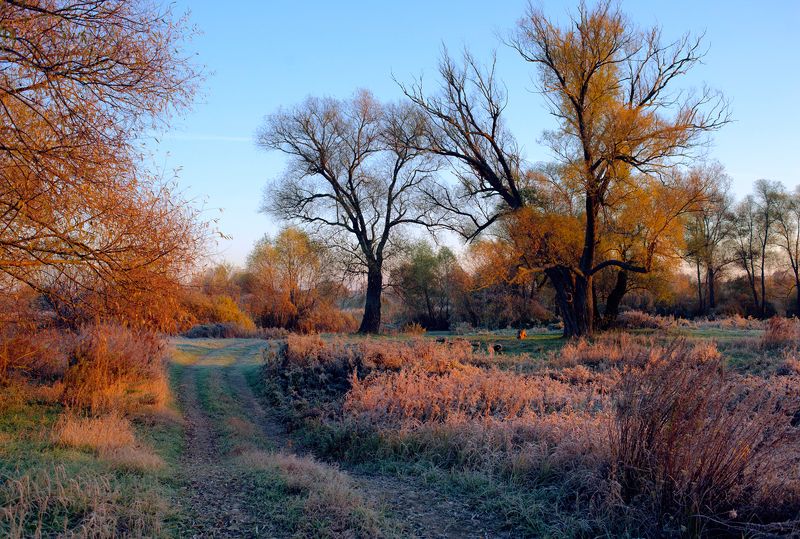 подгорное, липецкая область, морозный октябрь photo preview