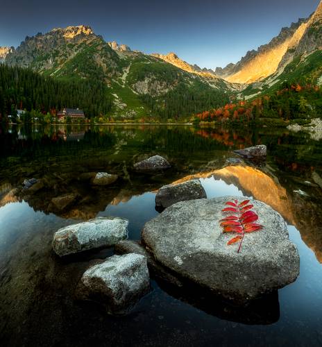 Autumn lake