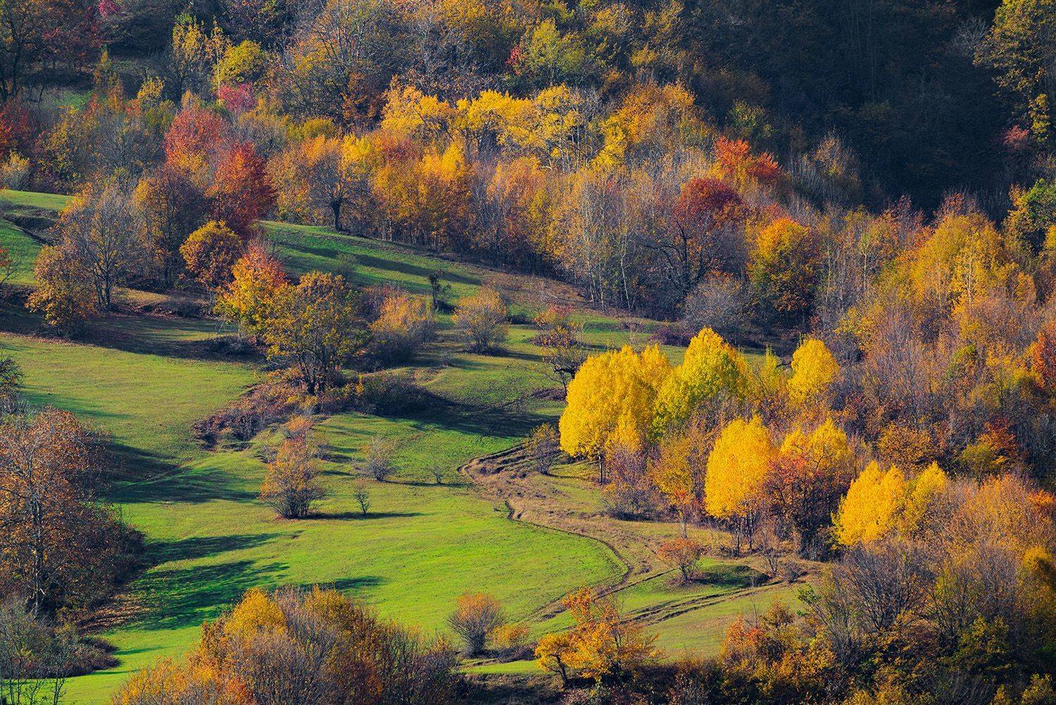 азербайджан, кавказ, осень, горы, лес, Valery