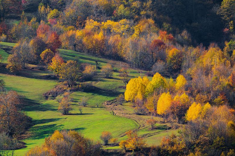 азербайджан, кавказ, осень, горы, лес Осень в горах Кавказаphoto preview
