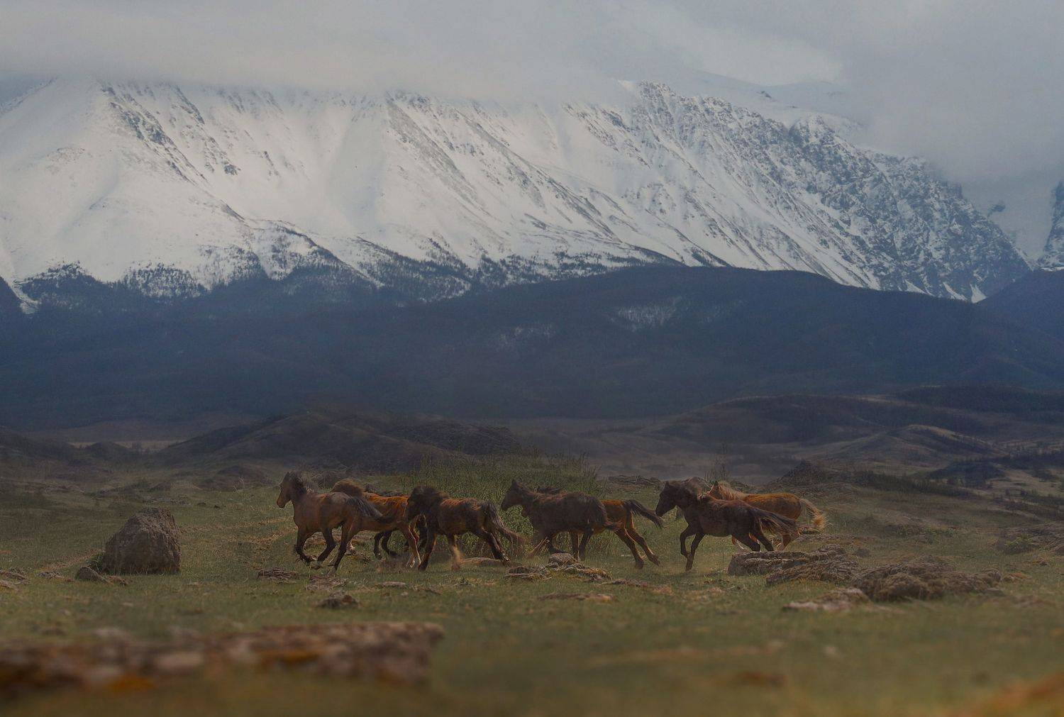 * * * * *. Автор: Константин Буркин , Константин Буркин