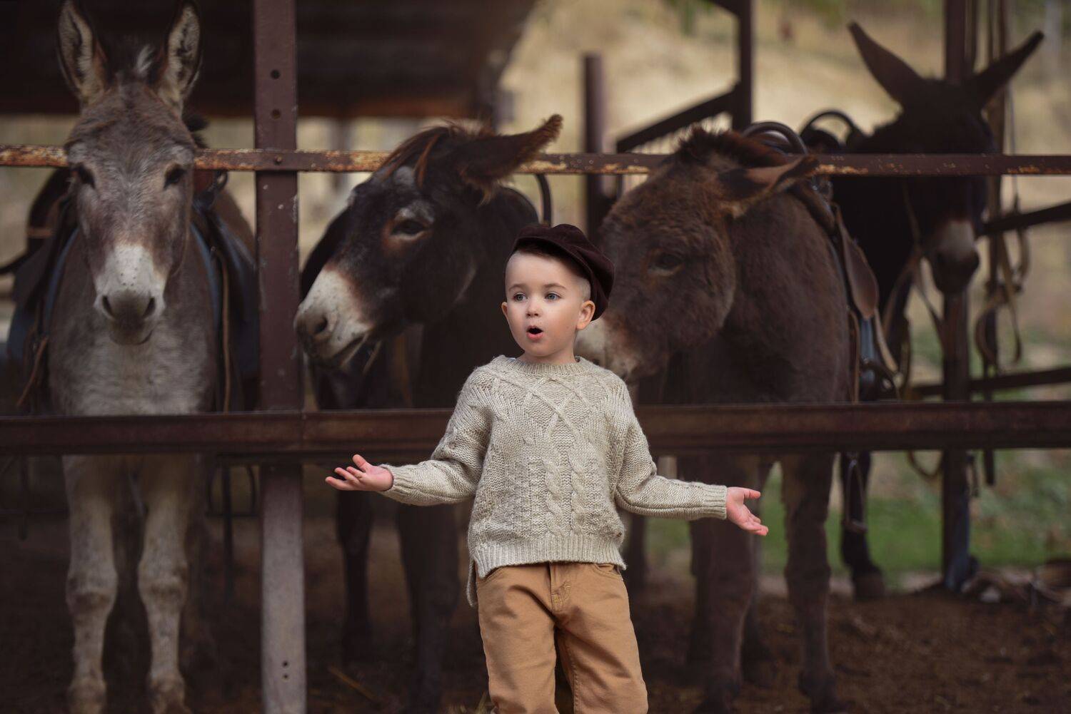 Автор: Заручевская Надежда , Заручевская Надежда