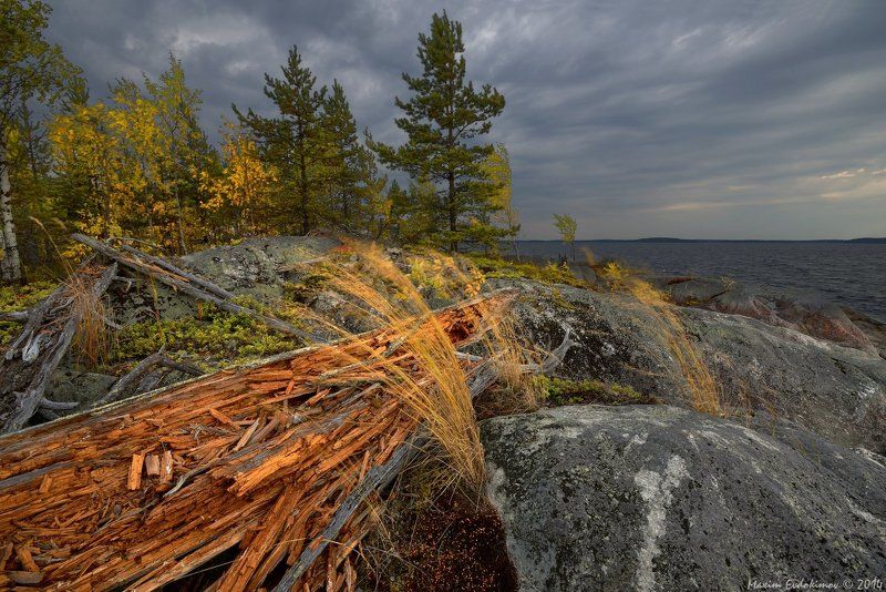 Молодая осень Сегозерьяphoto preview