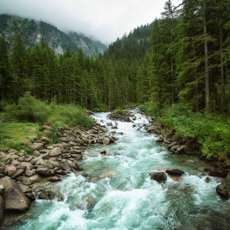 Кажется вечным поток бесконечный. Автор: Александр Удовиченко , Александр Удовиченко