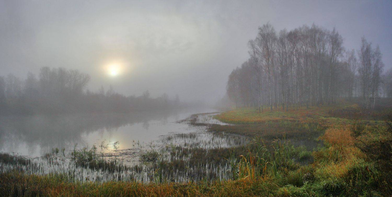 осень, пруд , лес , солнце, Александр Свистков