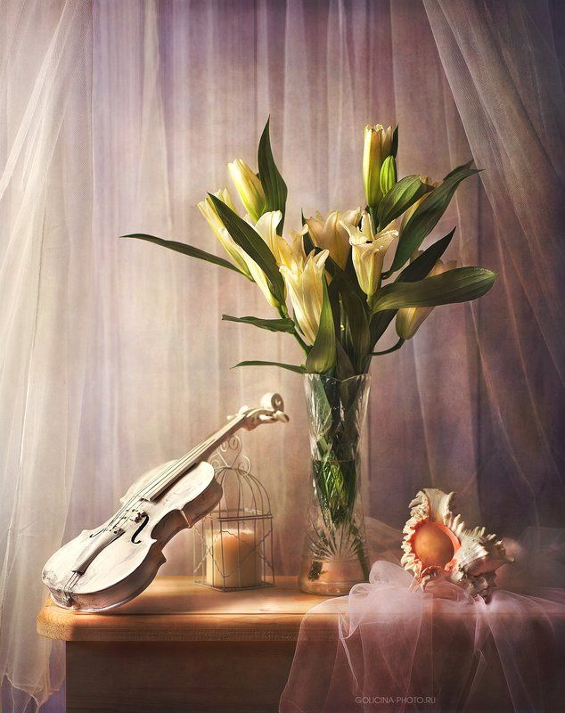 Лилия, Натюрморт, Скрипка Лилейныеphoto preview