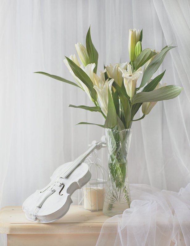 Лилия, Скрипка В высоком ключеphoto preview