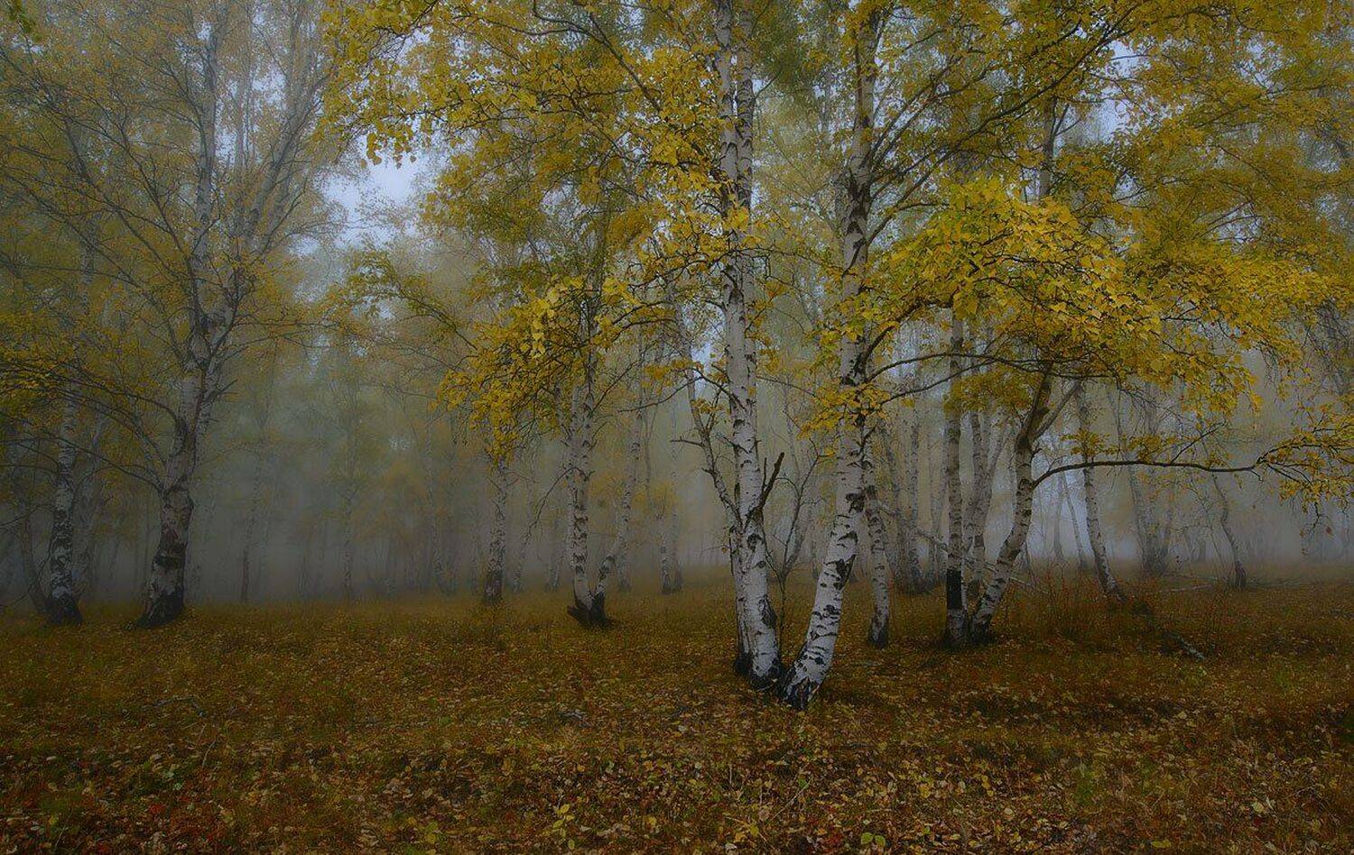 , Сергей Брагин