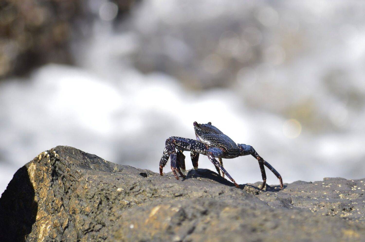 , Корнейчук Игорь