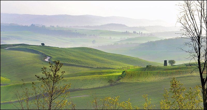 Утром в апреле ...photo preview