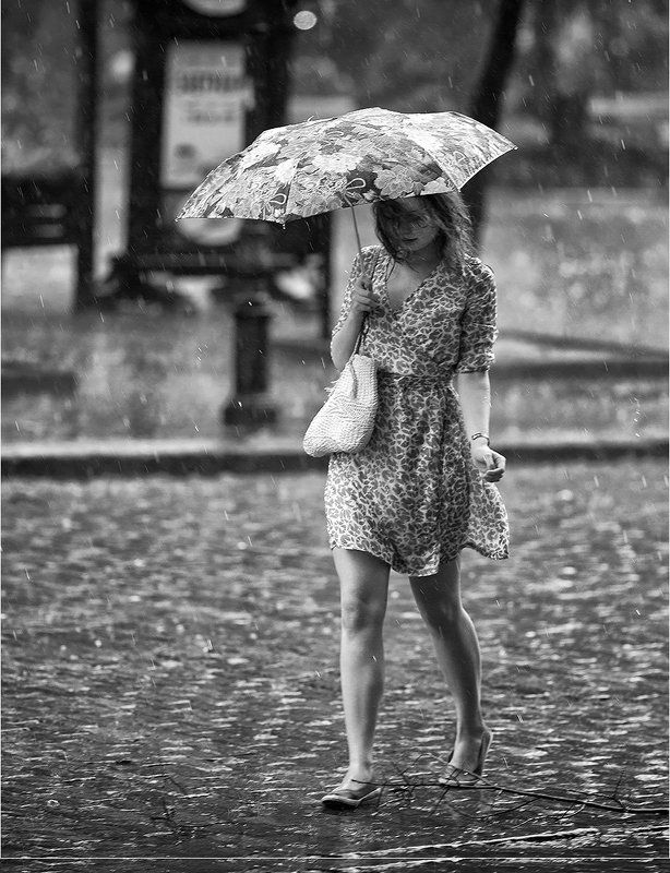 фотоphoto preview