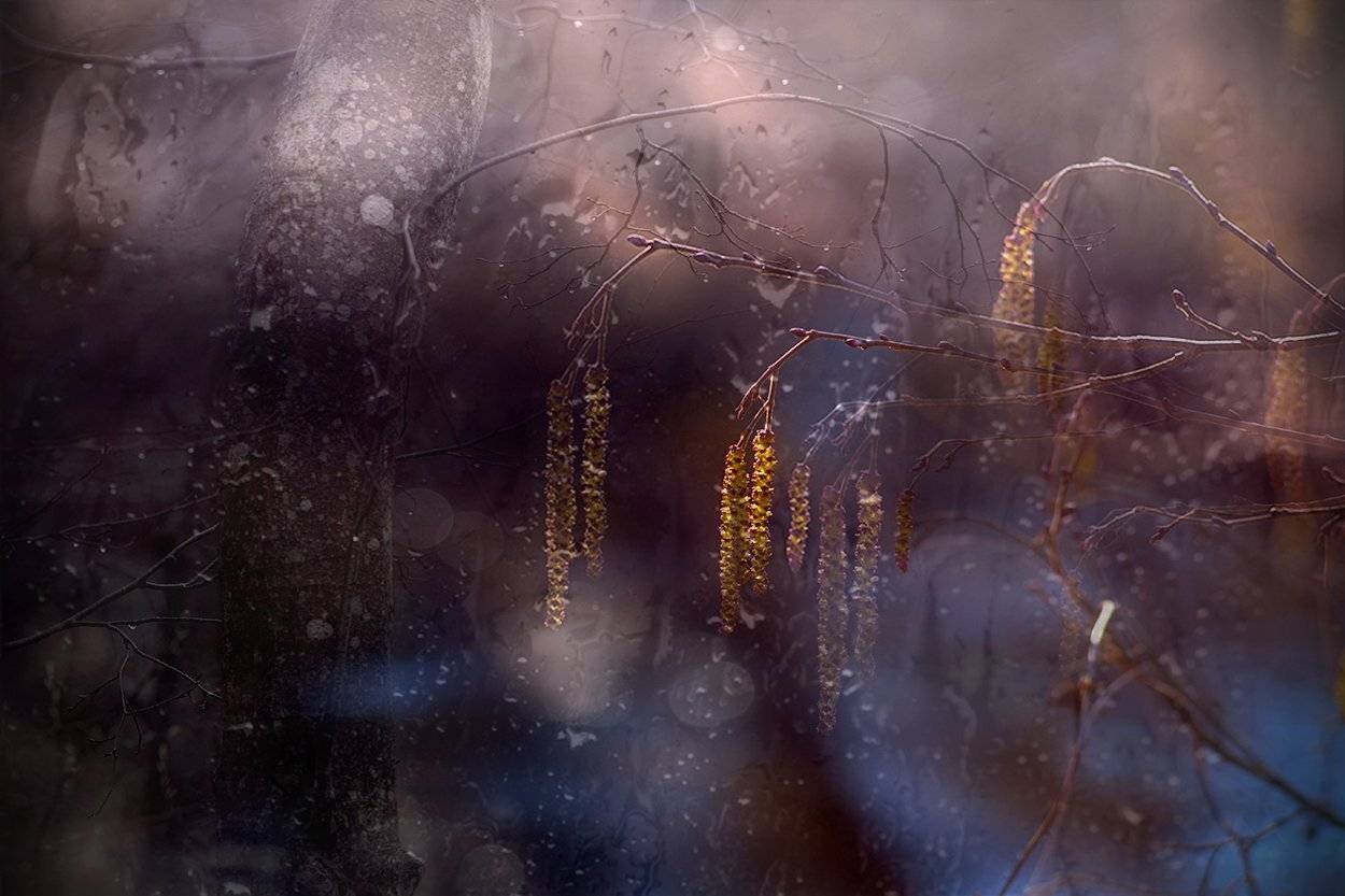 , Анна Кудрявцева