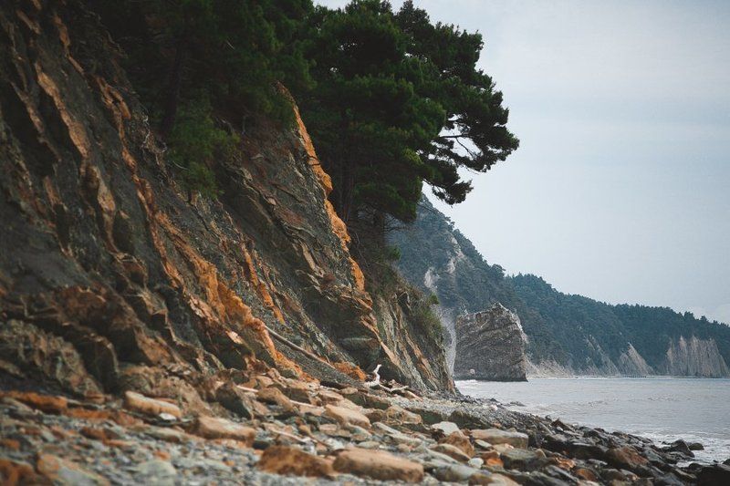 парусphoto preview