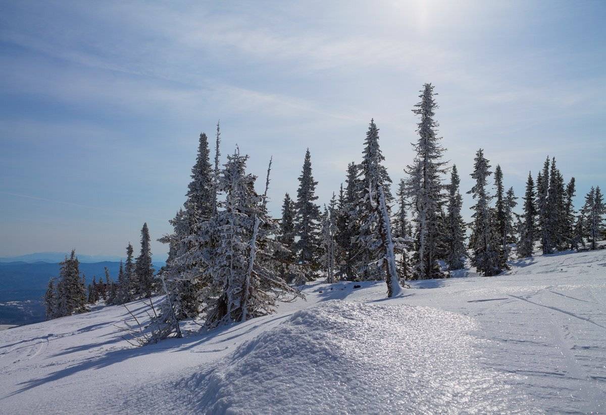 пейзаж, Курочкина Диана