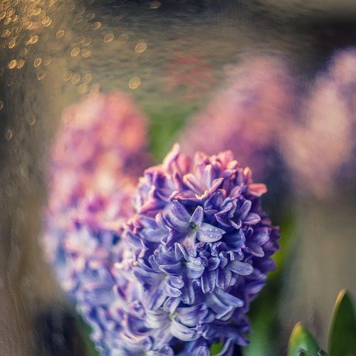 Springtime