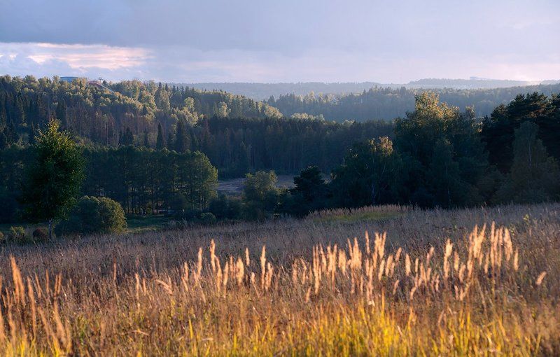 московская область, \\ Московская область с позиции географаphoto preview