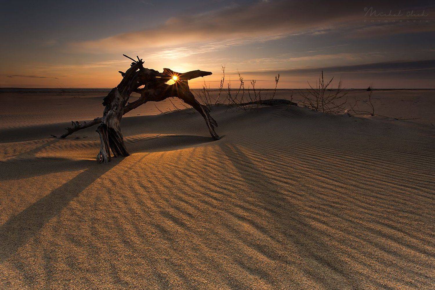 балтийское море, польша, солнце, гданьск, Michał Olech