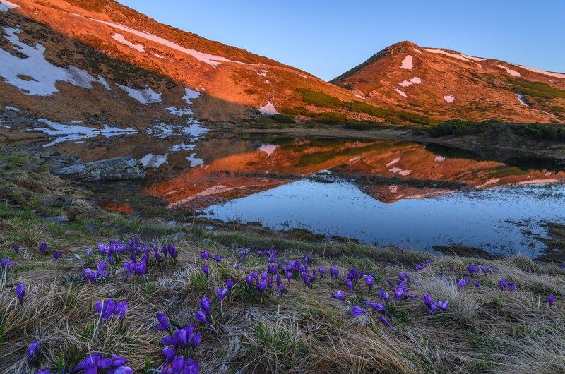 горы,карпаты,озеро,несамовитое,рассвет,крокусы,жереп Утро иного ликаphoto preview