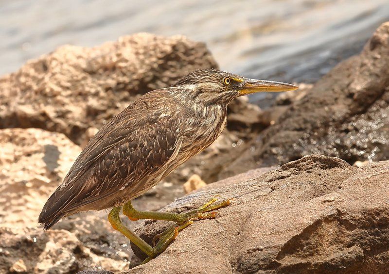 Знатный рыболовphoto preview