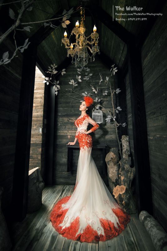 The Walker Photographyphoto preview