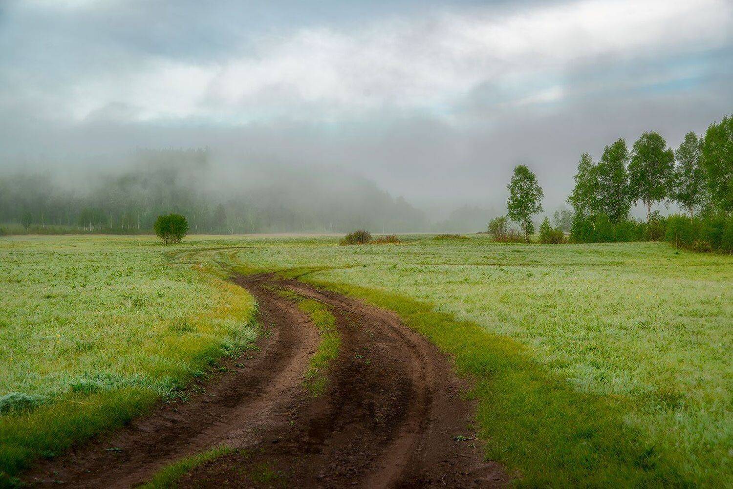 , Сергей Брагин