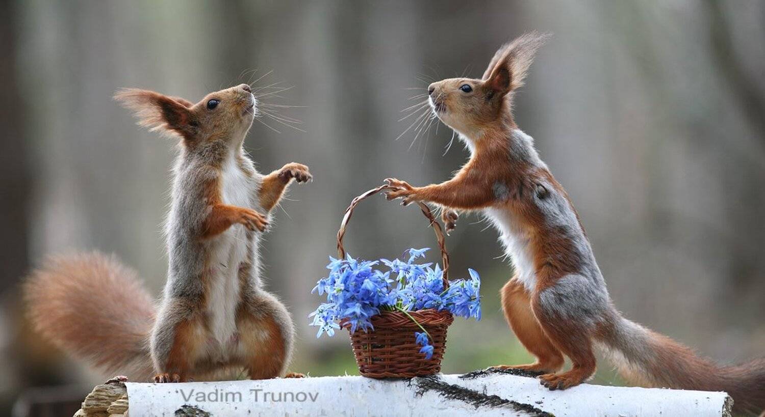 , Вадим Трунов