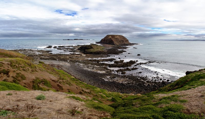 Тропа пингвиновphoto preview