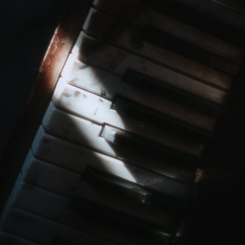 портрет שּםהphoto preview