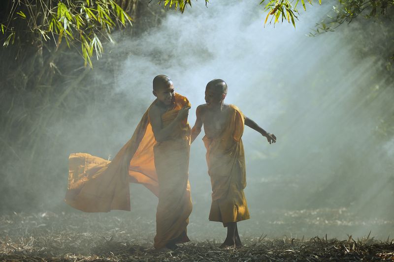 Asia, Asian, Bhudda, China, Life, Light, Monk, Raylight, Thai, Thailand Little monkphoto preview