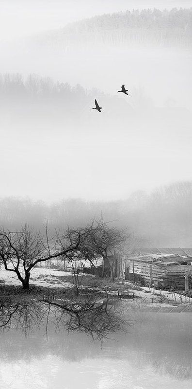 Суми-эphoto preview