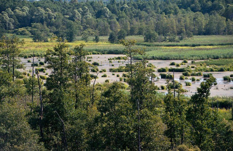 московская область, смоленская провинция, пейзажи московской области, фотоальбом \\ Pro Смоленскую провинцию Московской областиphoto preview