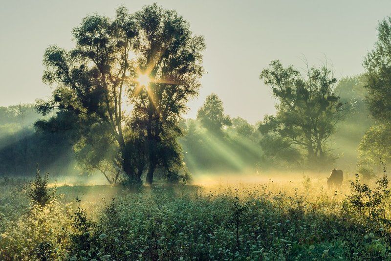 Однажды на рассветеphoto preview