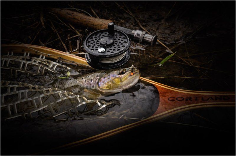 О весенней охоте на речного леопарда ....photo preview