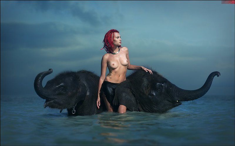 lucas, lucastudio, nude BONE ELEPHANTphoto preview