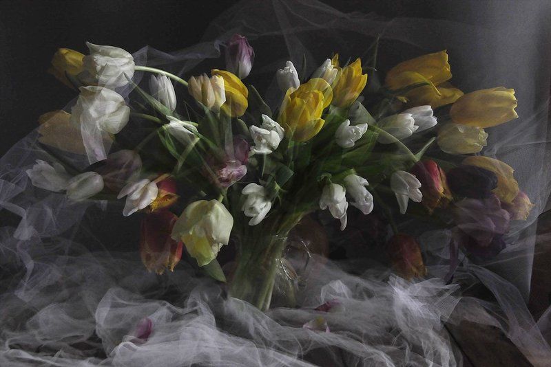 Весеннийphoto preview