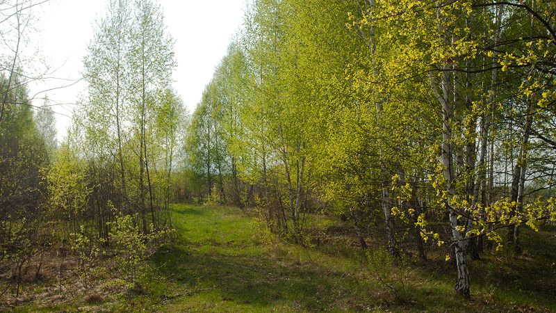 The colors of springphoto preview