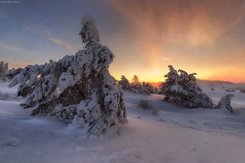 Ice Wind