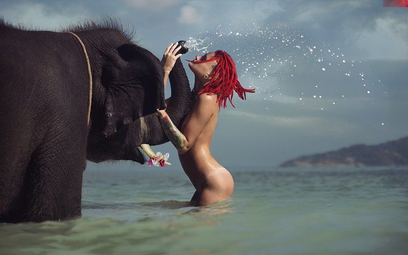 lucas, lucastudio BONE ELEPHANTphoto preview