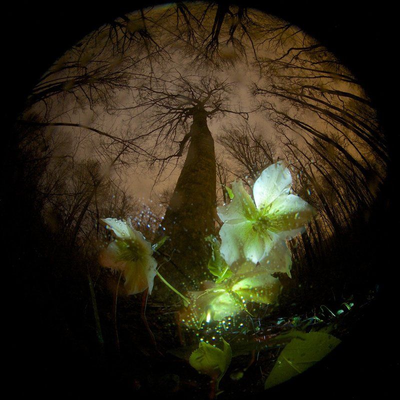 Весенний дождьphoto preview