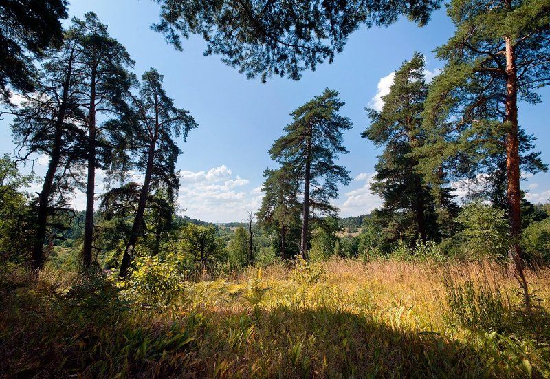 московская область, московская провинция, пейзажи московской области, фотоальбом \\ Pro Московскую провинцию Московской областиphoto preview