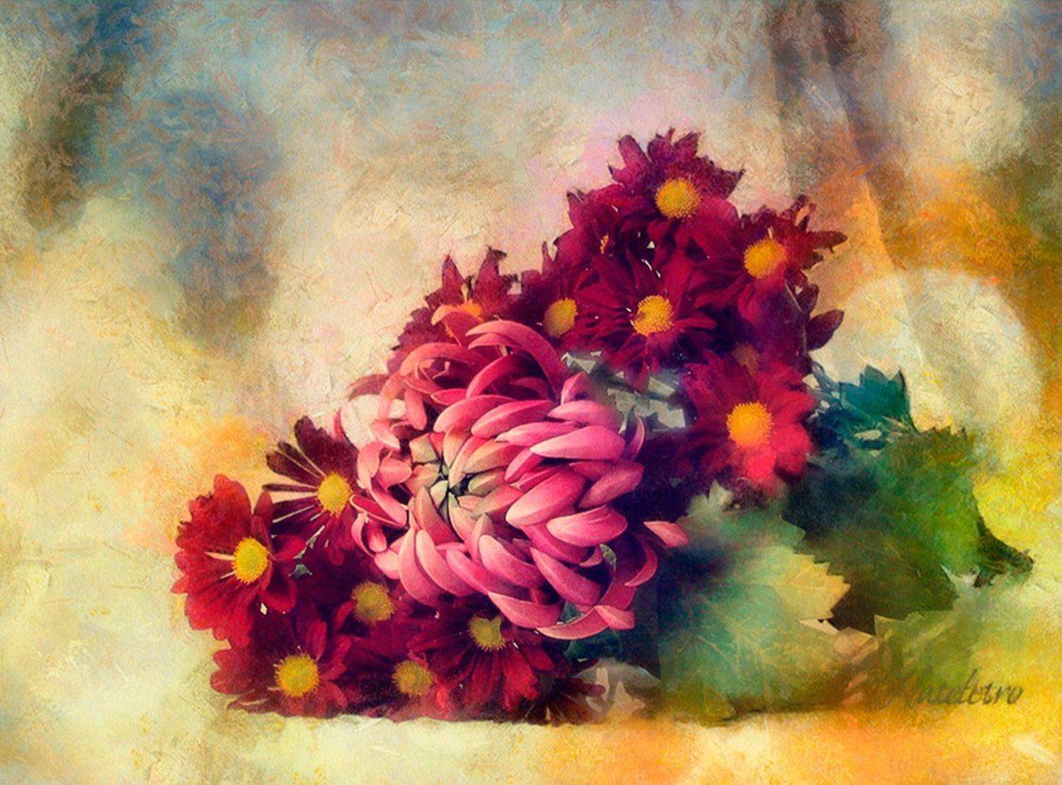 Pro Хризантемы. Автор: Наталья Кузнецова (Nateletro) , Наталья Кузнецова (Nateletro)