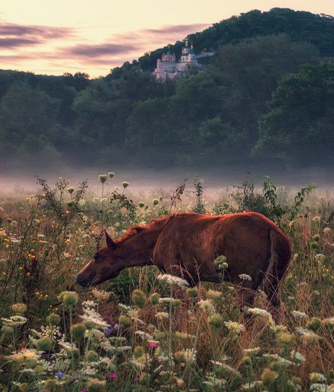 Flood of Tearsphoto preview