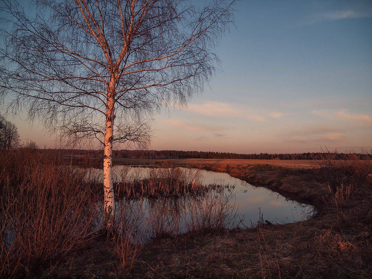 ***. Автор: Владимир Перепечаев , Владимир Перепечаев